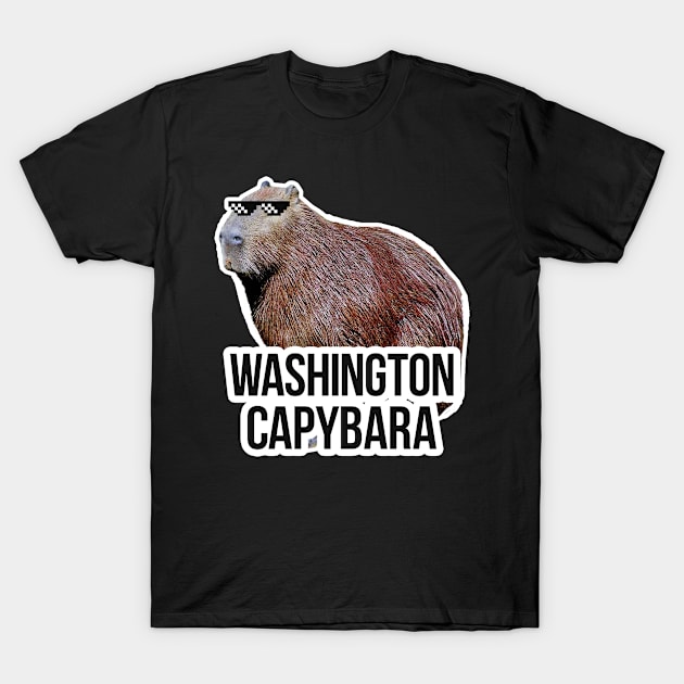 Washington capybara meme T-Shirt by NeedsFulfilled